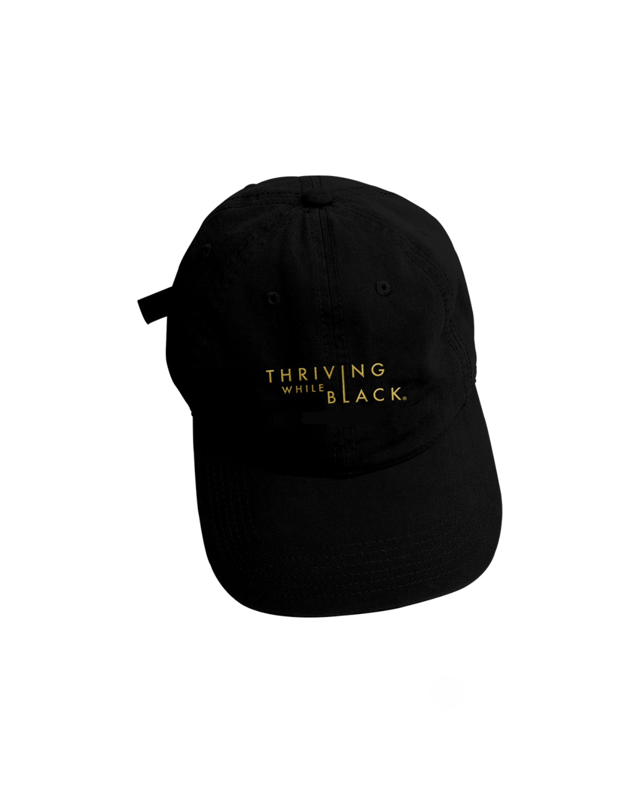 Thriving While Black Baseball Cap B/G